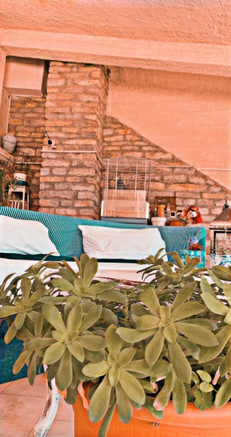 Studio Apartman Meljine Dış mekan fotoğraf