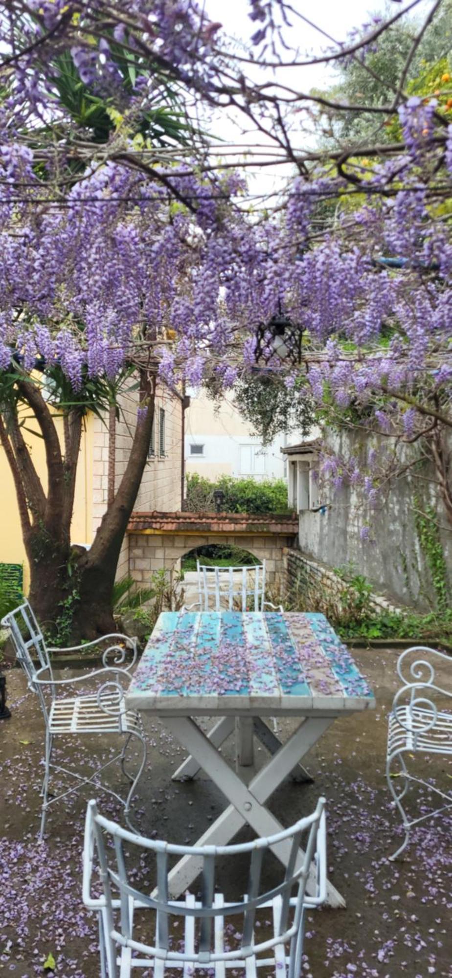 Studio Apartman Meljine Dış mekan fotoğraf