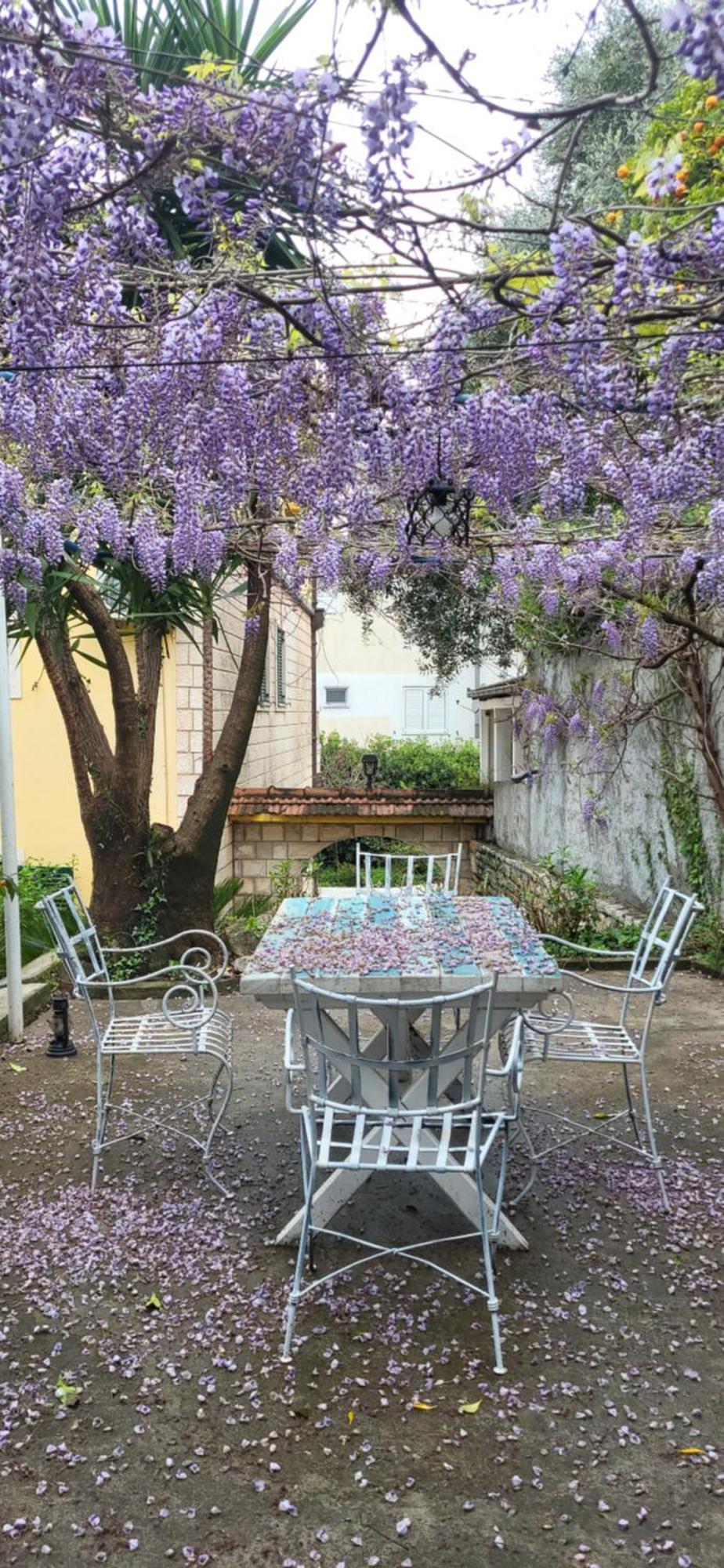 Studio Apartman Meljine Dış mekan fotoğraf
